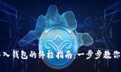虚拟币导入钱包的终极指南：一步步教你轻松操
