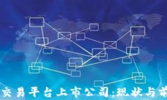 虚拟币交易平台上市公司：现状与前景分析