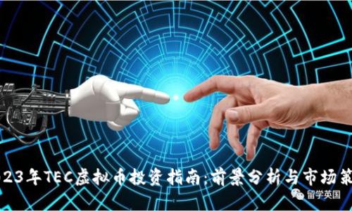 2023年TEC虚拟币投资指南:前景分析与市场策略