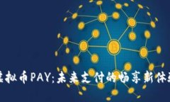 虚拟币PAY：未来支付的畅享新体验