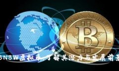 BNBW虚拟币：了解其潜力与发展前景