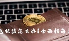 虚拟币钱包被盗怎么办？全面指南与解决方案