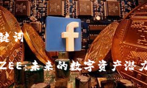 思考的和关键词
投资虚拟币ZEE:未来的数字资产潜力与风险分析