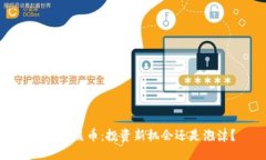 块虚拟币熊币：投资新机会还是泡沫？
