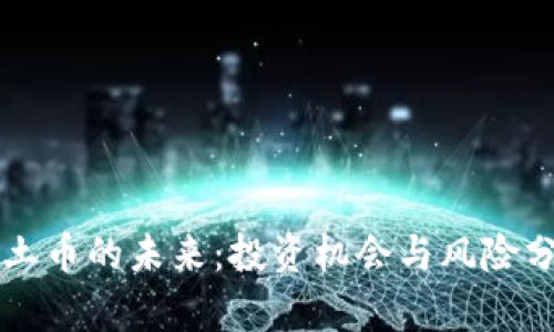 净土币的未来:投资机会与风险分析