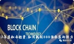 2023年虚拟币投资：如何找到800倍收益的潜力币种