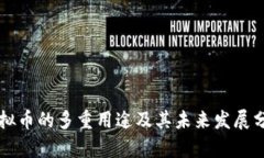 虚拟币的多重用途及其未来发展分析