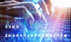 与关键词虚拟币项目停止运营的原因及应对策略