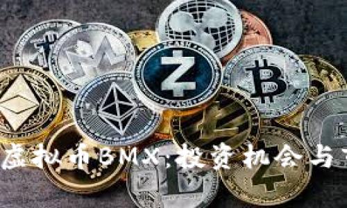 2023年虚拟币BMX:投资机会与市场解析