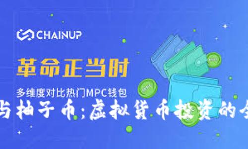 比特币与柚子币：虚拟货币投资的全面指南