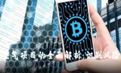 虚拟币空气项目的全面解析：识别风险与机会