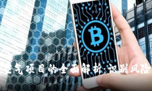 虚拟币空气项目的全面解析:识别风险与机会
