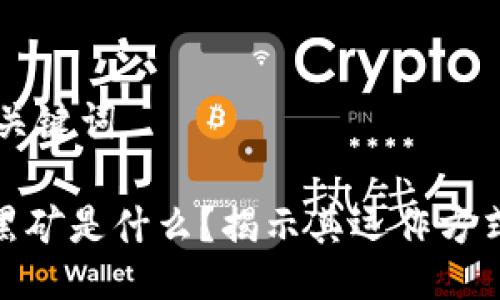 ## 及关键词
虚拟币黑矿是什么?揭示其运作方式与风险