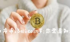 虚拟货币布币（Bubcoin）：你需要知道的一切