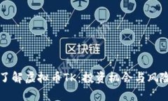 深入了解虚拟币TK：投资机会与风险分析