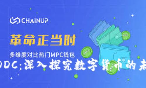 虚拟币QDDC:深入探究数字货币的未来与潜力