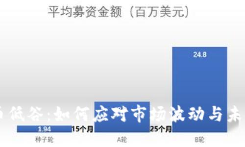 虚拟币低谷:如何应对市场波动与未来展望