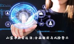 山寨币是否违法：全面解析与风险警示