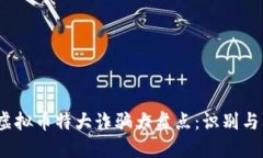 2023年虚拟币特大诈骗大盘点：识别与防范策略