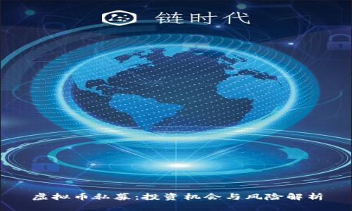 虚拟币私募:投资机会与风险解析