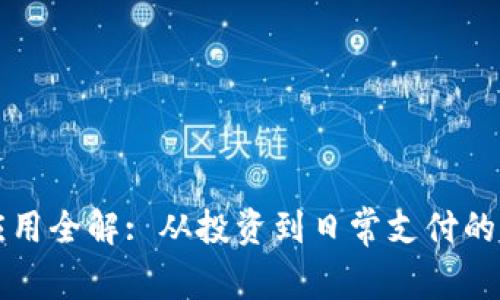 虚拟币应用全解: 从投资到日常支付的全面探讨