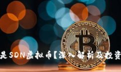 什么是SDN虚拟币？深入解析及投资前景