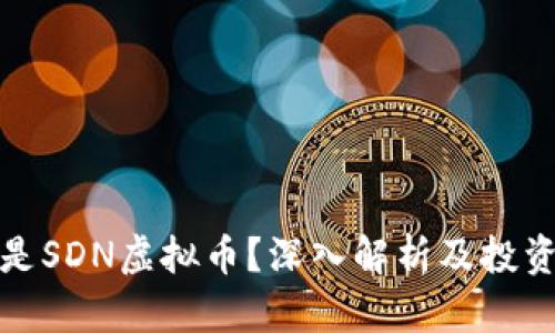 什么是SDN虚拟币?深入解析及投资前景