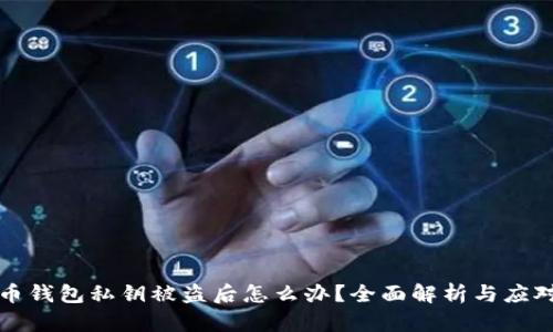 虚拟币钱包私钥被盗后怎么办?全面解析与应对措施