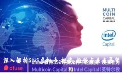 深入解析SNS虚拟币：投资、趋势与未来展望