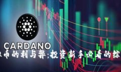 玩虚拟币的利与弊：投资新手必看的综合指南