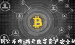 虚拟币密钥公布网：揭开数字资产安全的神秘面