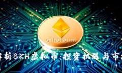 全面解析BKH虚拟币：投资机遇与市场动态