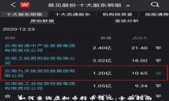 如何查询虚拟币持币情况：全面指南