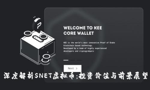 深度解析SNET虚拟币:投资价值与前景展望