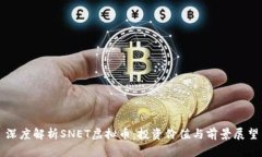 深度解析SNET虚拟币：投资价值与前景展望