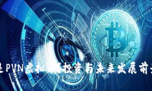 什么是PVN虚拟币?投资与未来发展前景分析