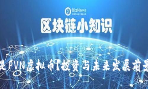 什么是PVN虚拟币?投资与未来发展前景分析