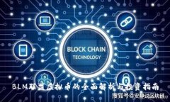BLM联盟虚拟币的全面解析与投资指南