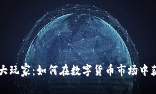 虚拟币大玩家:如何在数字货币市场中获得成功