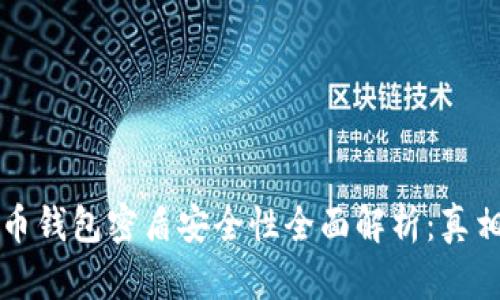 虚拟币钱包密盾安全性全面解析:真相揭秘