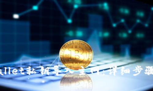 如何将TPWallet私钥导入主网：详细步骤与注意事项