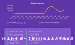 BN虚拟币：深入了解BNB的未来与市场发展