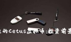 2023年崛起的Cetus虚拟币：投资前景与市场分析