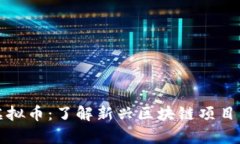 TopChain虚拟币：了解新兴区块链项目与投资机遇