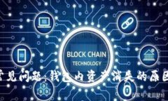  TPWallet常见问题：钱包内资产消失的原因及解决