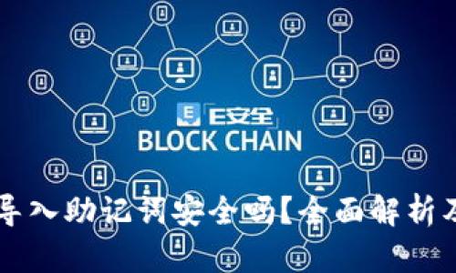 TPWallet导入助记词安全吗?全面解析及用户指南