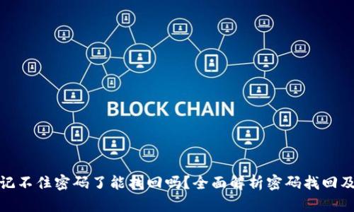 tpwallet记不住密码了能找回吗？全面解析密码找回及安全策略