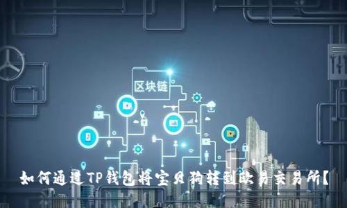 如何通过TP钱包将宝贝狗转到欧易交易所？