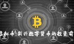 BBOS虚拟币：新兴数字货币的投资前景分析