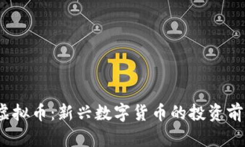 BBOS虚拟币:新兴数字货币的投资前景分析